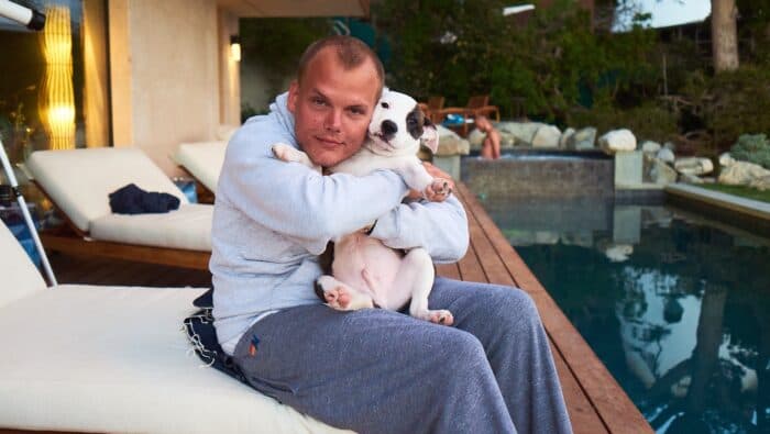 Aviciis Hund Liam hat Krebs: Freund startet Spendenaktion